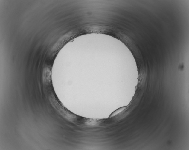 X0000115480142200912181217