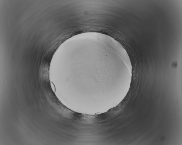 X0000115480143200912181217