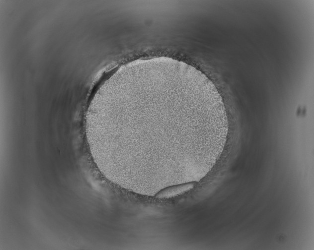 X0000115480144200912181217