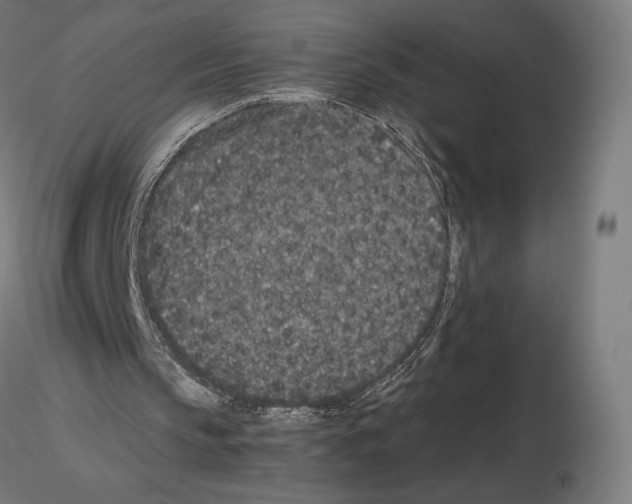 X0000115480145200912181216