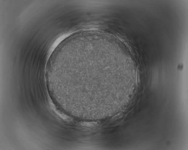 X0000115480147200912181216