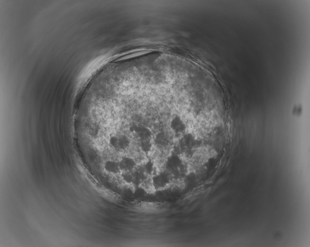 X0000115480149200912181216