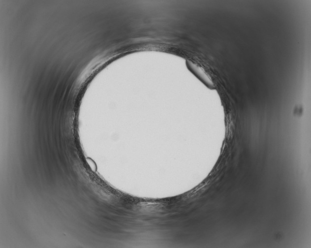 X0000115480150200912181216