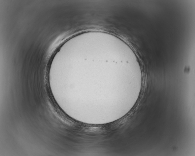 X0000115480151200912181216