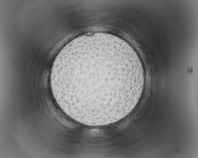 X0000115480153200912181216