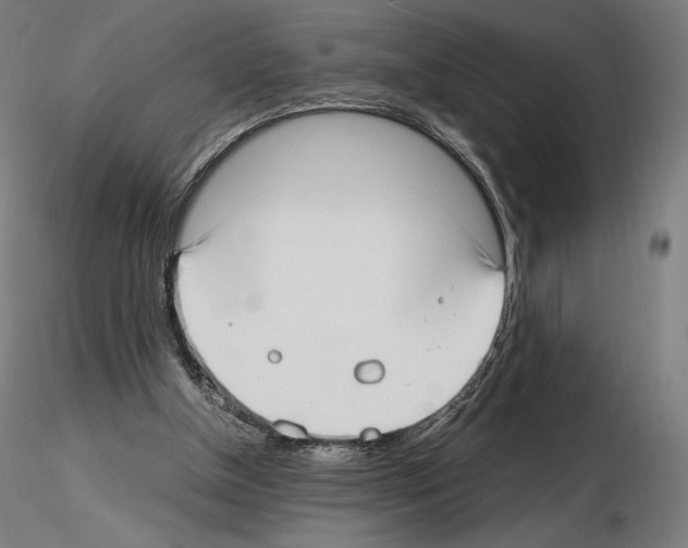 X0000115480154200912181216