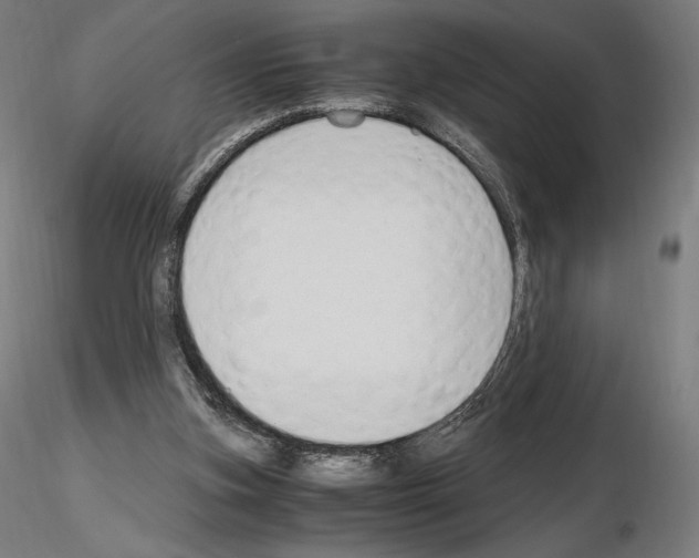 X0000115480155200912181216