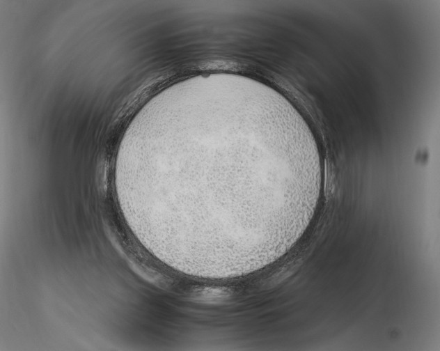 X0000115480157200912181216