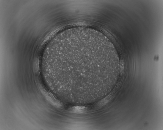X0000115480158200912181216