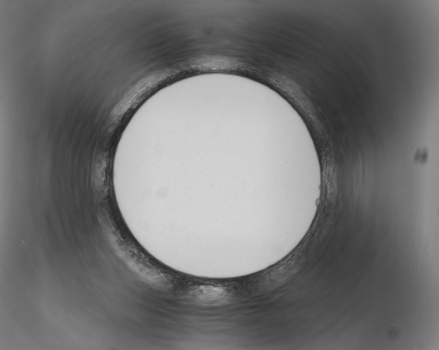 X0000115480159200912181216
