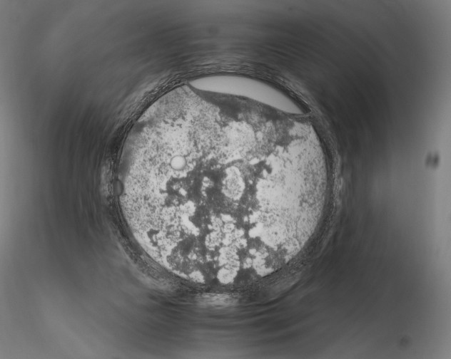 X0000115480161200912181216