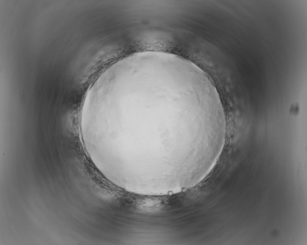 X0000115480162200912181216