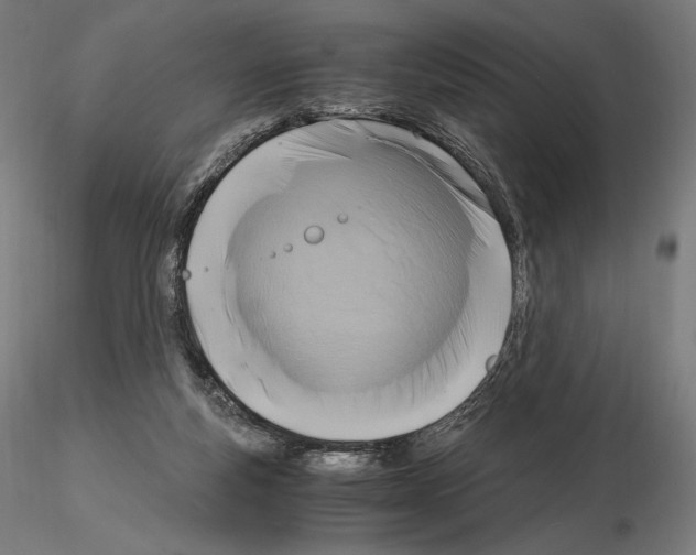 X0000115480163200912181217