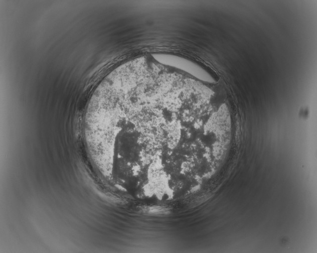 X0000115480165200912181217