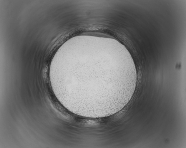 X0000115480166200912181217