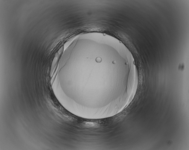X0000115480167200912181217