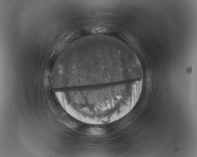 X0000115480169200912181217