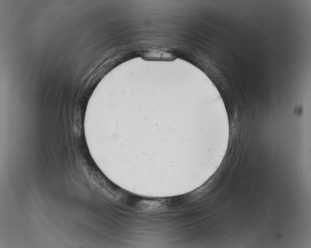 X0000115480170200912181217