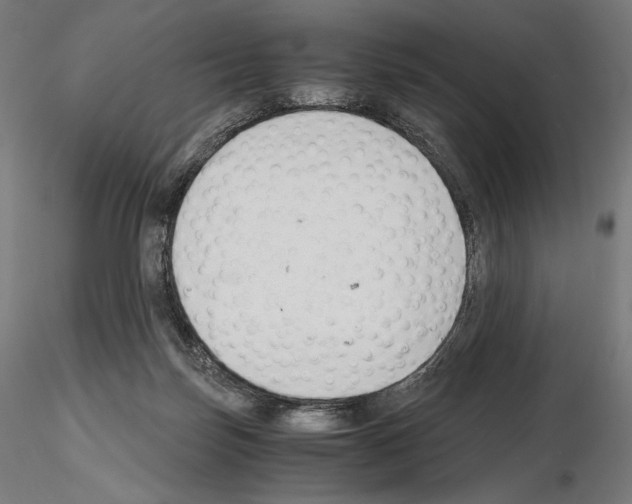 X0000115480171200912181217