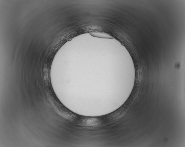 X0000115480173200912181217