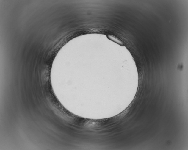 X0000115480174200912181217