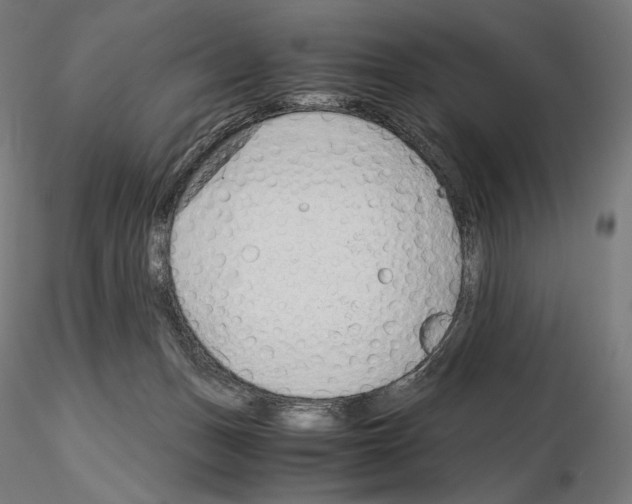 X0000115480175200912181217