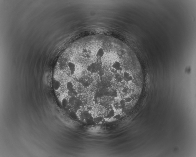 X0000115480177200912181217