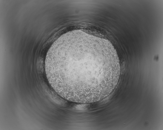 X0000115480178200912181217
