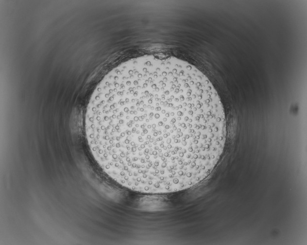 X0000115480179200912181217