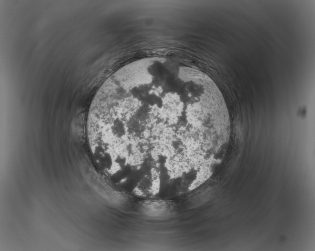 X0000115480181200912181217