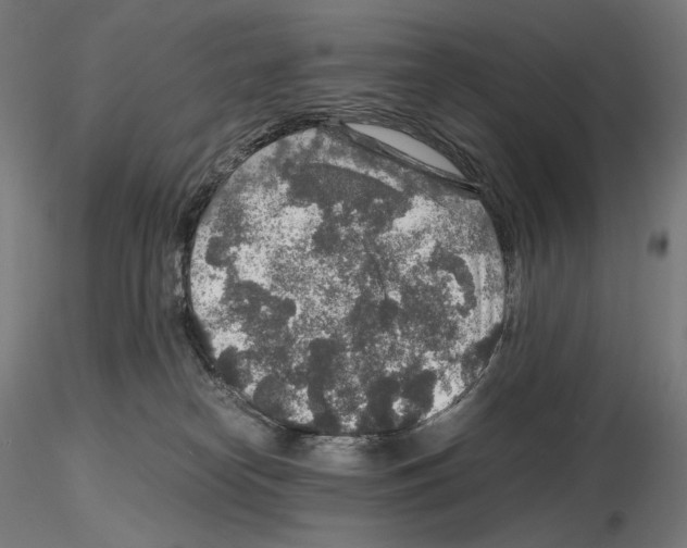 X0000115480182200912181217