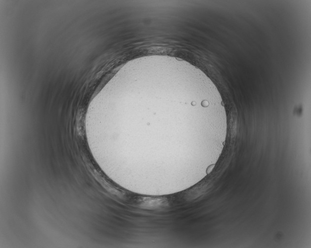 X0000115480185200912181217