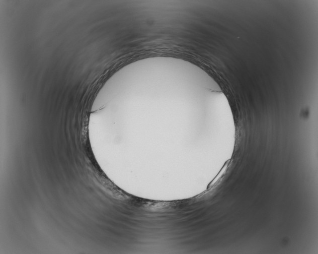 X0000115480186200912181217