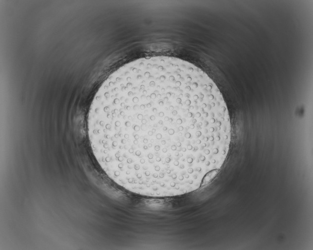 X0000115480187200912181217