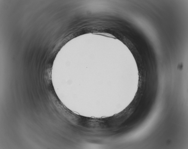 X0000115480190200912181217
