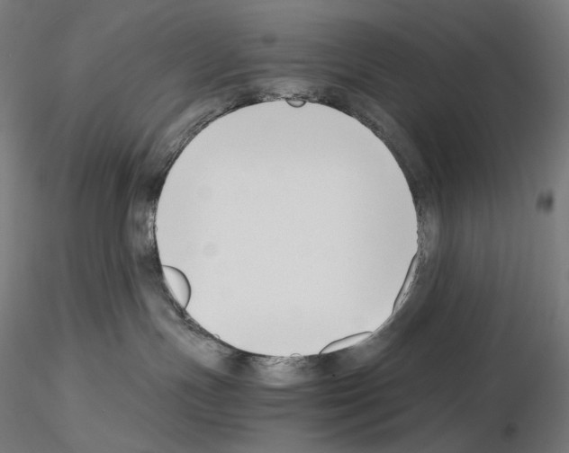 X0000115480191200912181217