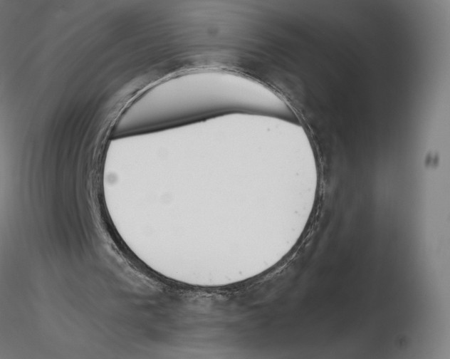 X0000115480193200912181216