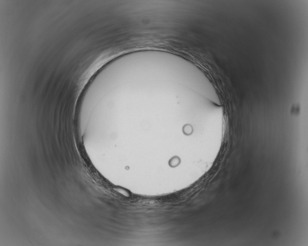 X0000115480195200912181216