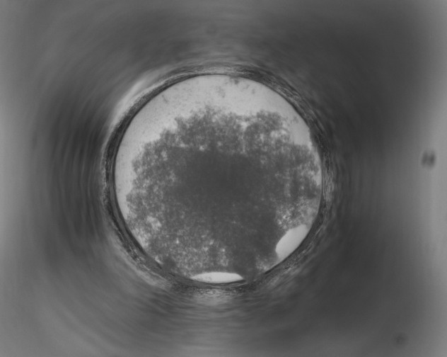 X0000115480198200912181216