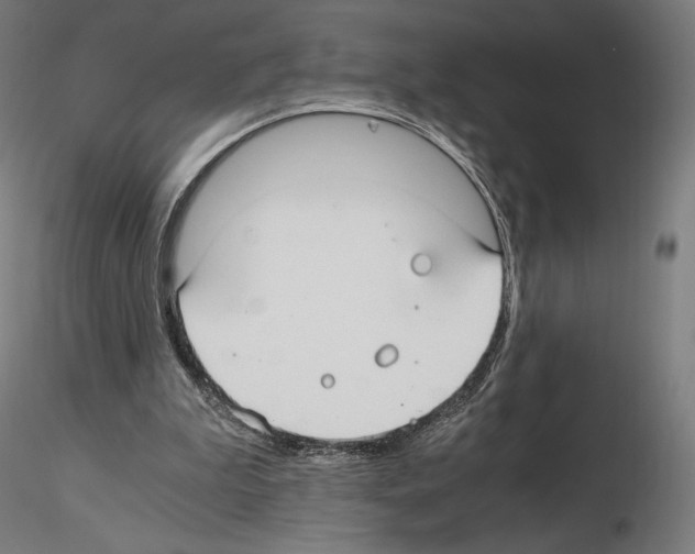 X0000115480199200912181216