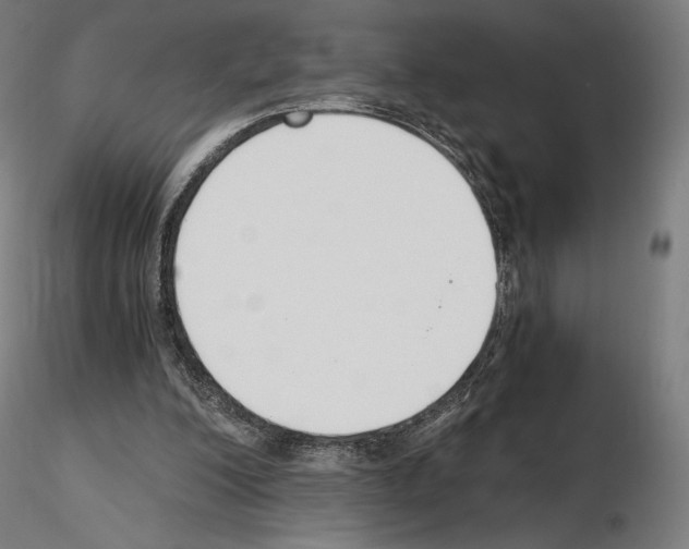 X0000115480200200912181216