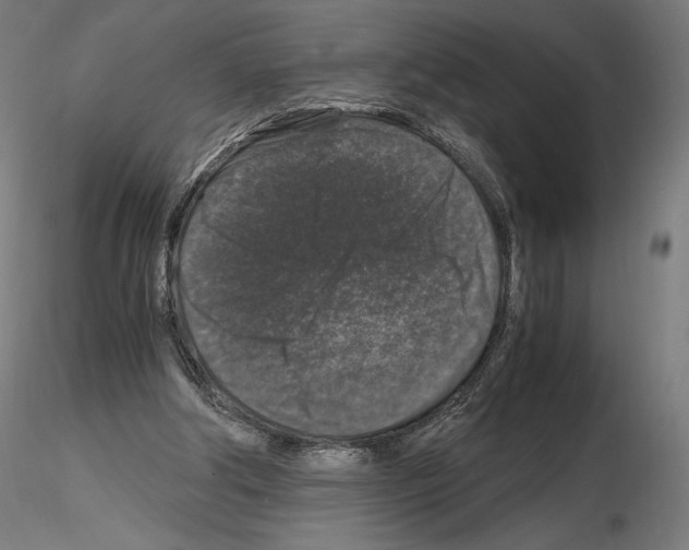 X0000115480202200912181216
