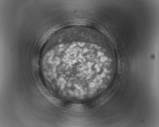 X0000115480203200912181216