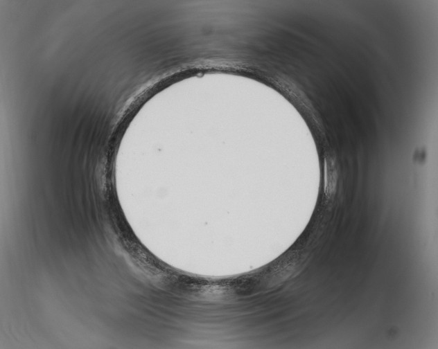 X0000115480204200912181216