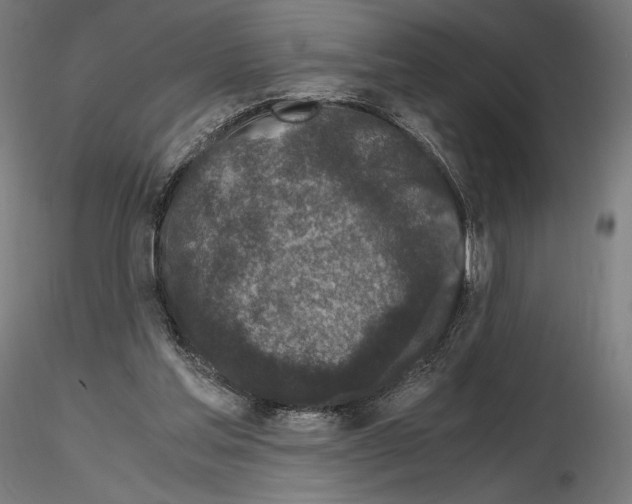 X0000115480205200912181216