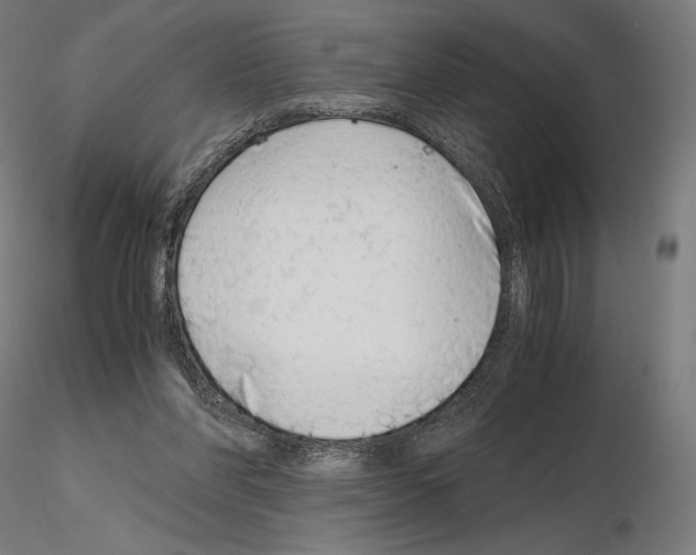 X0000115480206200912181216