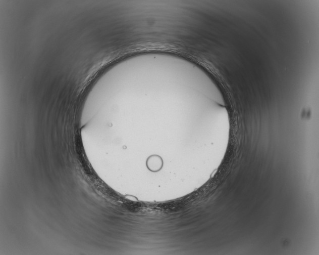 X0000115480207200912181216