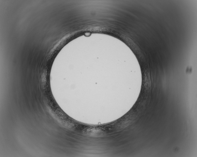 X0000115480208200912181216