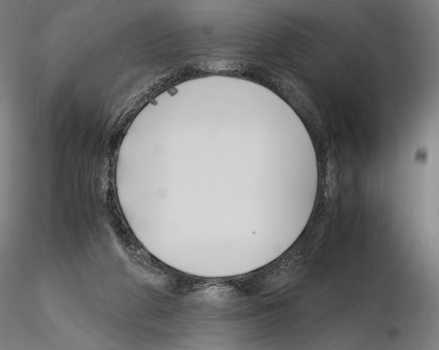 X0000115480210200912181216