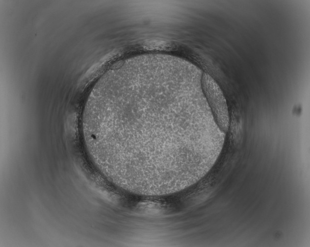 X0000115480211200912181216